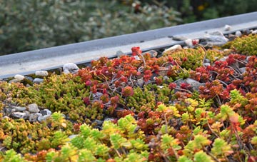 the cost of Finningham green roof installation