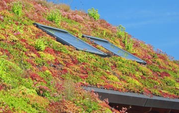 Finningham living roof systems