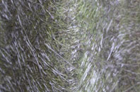 Finningham fibreglass roof work